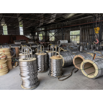 Parlak 302 Sınıf AISI Paslanmaz Çelik EPQ TEL